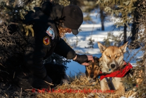 Justin Savidis gives his lead dog, May, a little TLC at the Cripple checkpoint on Friday March 7, during the Iditarod Sled Dog Race 2014.PHOTO (c) BY JEFF SCHULTZ/IditarodPhotos.com -- REPRODUCTION PROHIBITED WITHOUT PERMISSION