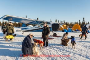 Dropped dogs wait to be boarded onto an airplane at the Cripple checkpoint on Friday, March 3, during the Iditarod Sled Dog Race 2014. Dogs that are injured or tired may be left at checkpoints in the care of professional veterinarians. They are then transported to Anchorage for a musher's family or friends or handler to retrieve them to be returned home. PHOTO (c) BY JEFF SCHULTZ/IditarodPhotos.com -- REPRODUCTION PROHIBITED WITHOUT PERMISSION