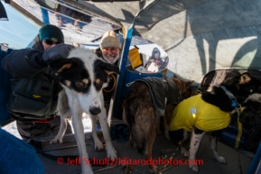 Pilot Udo Cassee loads dropped dogs into his airplane at the Cripple checkpoint on Friday, March 7, during the Iditarod Sled Dog Race 2014. Dogs that are injured or tired may be left at checkpoints in the care of professional veterinarians. They are then transported to Anchorage for a musher's family or friends or handler to retrieve them where they will then return home.PHOTO (c) BY JEFF SCHULTZ/IditarodPhotos.com -- REPRODUCTION PROHIBITED WITHOUT PERMISSION