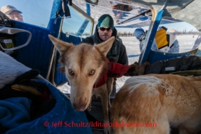 Pilot Udo Cassee loads dropped dogs into his airplane at the Cripple checkpoint on Friday, March 7, during the Iditarod Sled Dog Race 2014. Dogs that are injured or tired may be left at checkpoints in the care of professional veterinarians. They are then transported to Anchorage for a musher's family or friends or handler to retrieve them where they will then return home.PHOTO (c) BY JEFF SCHULTZ/IditarodPhotos.com -- REPRODUCTION PROHIBITED WITHOUT PERMISSION