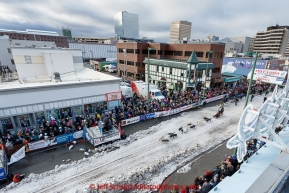 Justin Savidas runs down 4th Avenue during the cermonial start day of Iditarod 2015 in Anchorage, Alaska. Saturday March 7, 2015(C) Jeff Schultz/SchultzPhoto.com - ALL RIGHTS RESERVED DUPLICATION  PROHIBITED  WITHOUT  PERMISSION