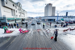 Traffic stops on 5th avenue for Iditarod musher DeeDee Jonrowe to cross in downtown Anchorage during the cermonial start day of Iditarod 2015 in Anchorage, Alaska. Saturday March 7, 2015(C) Jeff Schultz/SchultzPhoto.com - ALL RIGHTS RESERVED DUPLICATION  PROHIBITED  WITHOUT  PERMISSION