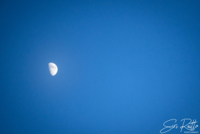 SiriRaittoPhotography_2025Galena-46