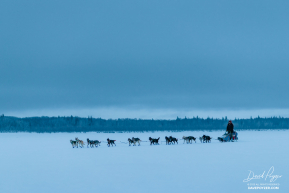 Justin Olnes on the Yukon