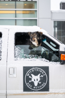 Ceremonial Start, Downtown Anchorage, Alaska