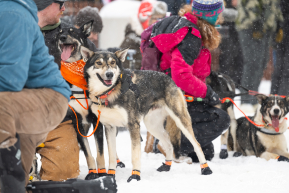 Ceremonial Start, Downtown Anchorage, Alaska