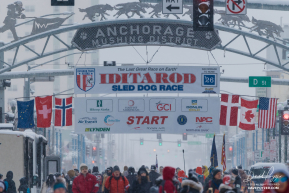 Anchorage Mushing District