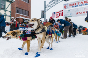 Jody Potts-Joseph's Lead Dogs