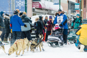 Expedition Musher Steve Curtis