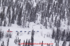 Thursday March, 2012   Wade Marrs travels on the mining road trail on his way to Ophir.   Iditarod 2012.