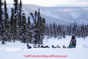 Thursday March, 2012   Jeff King on the trail just before the Cripple checkpoint.   Iditarod 2012.