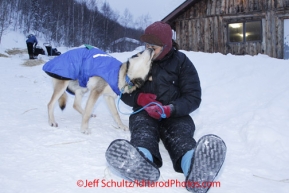 Thursday March, 2012   During her 24 hour layover, Karin Hendrickson takes each dog for a walk and play time at the Takotna checkpoint.  Here she plays with