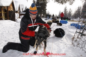 Thursday March, 2012   Volunteer veterinarian Michael Lavrone checks Justin Savidis' team shortly after his arrival at the Ophir checkpoint.   Iditarod 2012.