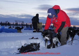 Thursday March, 2012   Veterinarian Roger Troutman checks a Sonny Lindner dog  at the Cripple checkpoint.   Iditarod 2012.