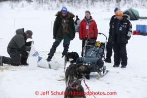 Volunteer veterinarians wait to examine Rudy Demoski 's team shortly after his arrival at the halfway checkpoint of Iditarod on Friday March 8, 2013.Iditarod Sled Dog Race 2013Photo by Jeff Schultz copyright 2013 DO NOT REPRODUCE WITHOUT PERMISSION