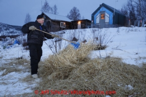 Volunteer Brad VanMeter rakes straw from teams that have left the halfway checkpoint of Iditarod on Friday March 8, 2013.Iditarod Sled Dog Race 2013Photo by Jeff Schultz copyright 2013 DO NOT REPRODUCE WITHOUT PERMISSION