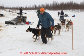 Ricky Ciletti a volunteer and employee of sponsor Donlin Gold helps Aaron Pecks team out at the halfway checkpoint of Iditarod on Friday March 8, 2013.Iditarod Sled Dog Race 2013Photo by Jeff Schultz copyright 2013 DO NOT REPRODUCE WITHOUT PERMISSION