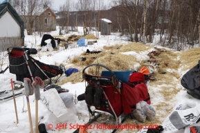 Teams rest in spots vacated by previous mushers, hence the used straw on either side of the parking spots at the halfway checkpoint of Iditarod on Friday March 8, 2013.Iditarod Sled Dog Race 2013Photo by Jeff Schultz copyright 2013 DO NOT REPRODUCE WITHOUT PERMISSION