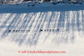 Two teams run in the shadows on the Yukon river between Ruby and Galena on Saturday March 8, during the Iditarod Sled Dog Race 2014.PHOTO (c) BY JEFF SCHULTZ/IditarodPhotos.com -- REPRODUCTION PROHIBITED WITHOUT PERMISSION