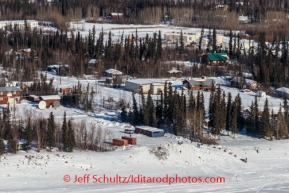 Karin Hendrickson runs up the bank from the Yukon River to Galena on Saturday March 8, during the Iditarod Sled Dog Race 2014.PHOTO (c) BY JEFF SCHULTZ/IditarodPhotos.com -- REPRODUCTION PROHIBITED WITHOUT PERMISSION