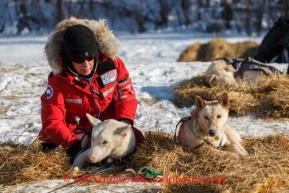 Volunteer Vet Deb Hadlock works with a Justin Savidas dog on Saturday March 8, during the Iditarod Sled Dog Race 2014.PHOTO (c) BY JEFF SCHULTZ/IditarodPhotos.com -- REPRODUCTION PROHIBITED WITHOUT PERMISSION