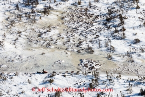 A team runs on an icy trail on the Kaltag - Unalakleet portage on Saturday March 8, during the Iditarod Sled Dog Race 2014.PHOTO (c) BY JEFF SCHULTZ/IditarodPhotos.com -- REPRODUCTION PROHIBITED WITHOUT PERMISSION