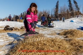 8 year old Galena volunteer Sable Scotton rakes straw after a teams leaves on Saturday March 8, during the Iditarod Sled Dog Race 2014.PHOTO (c) BY JEFF SCHULTZ/IditarodPhotos.com -- REPRODUCTION PROHIBITED WITHOUT PERMISSION