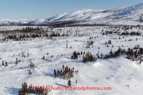 A team runs trail on the Kaltag - Unalakleet portage on Saturday March 8, during the Iditarod Sled Dog Race 2014.PHOTO (c) BY JEFF SCHULTZ/IditarodPhotos.com -- REPRODUCTION PROHIBITED WITHOUT PERMISSION