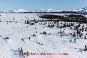 Ray Redington Jr. runs on the trail over the Kaltag - Unalakleet Portage near Tripod Flats on Saturday March 8, during the Iditarod Sled Dog Race 2014.PHOTO (c) BY JEFF SCHULTZ/IditarodPhotos.com -- REPRODUCTION PROHIBITED WITHOUT PERMISSION