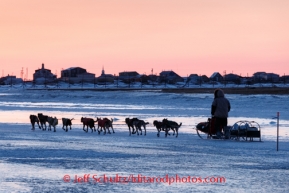 Jeff King runs on the slough ice just after sunset with Unalakleet in the background on Saturday March 8, during the Iditarod Sled Dog Race 2014.PHOTO (c) BY JEFF SCHULTZ/IditarodPhotos.com -- REPRODUCTION PROHIBITED WITHOUT PERMISSION