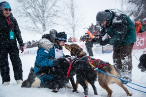 Quince Mountain, rookie from Mountain, Wisconsin bib number 50, shares a few moments with his lead dogs and team before heading to Nome.