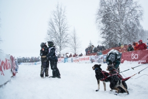 Musher Dennis Kananowicz sending off to Nome, bib number 53 of Tolsona, Alaska