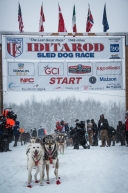 Vetern Mitch Seavey of Seward, Alaska is lined up ready to head to Nome with his team of 14.