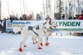 2026 Official Restart | Willow, Alaska