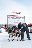 2026 Official Restart | Willow, Alaska