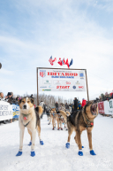 2026 Official Restart | Willow, Alaska