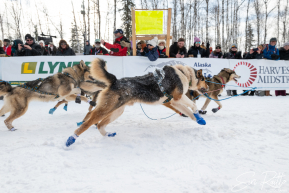 2026 Official Restart | Willow, Alaska