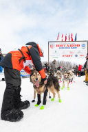 2026 Official Restart | Willow, Alaska