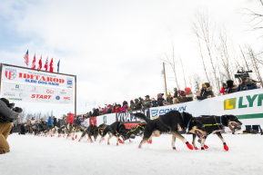 2026 Official Restart | Willow, Alaska