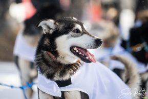 2026 Official Restart | Willow, Alaska