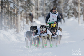 Ryan Redington's Team in Willow