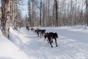 Chad Stoddard in Willow