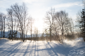 2026 Finger Lake Checkpoint