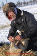 Friday March 9, 2012  Nicholas Petit puts boots on his dog "Daffodil" at the half-way checkpoint at Cripple.   Iditarod 2012.