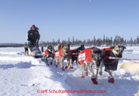 Friday March 9, 2012   Ed Stielstra on the trail arriving at the half-way checkpoint at Cripple.   Iditarod 2012.