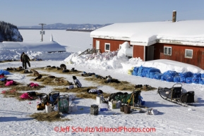 Friday March 9, 2012 Dog teams at rest at the Yukon River village of Ruby, Alaska. Iditarod 2012. These teams are taking an 8-hour layover here. There is a mandatory rule that teams must take an 8-hour rest somewhere along the Yukon River.