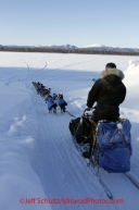 Friday March 9, 2012  Aaron Burmeister runs down the bank onto the Yukon River at the village of Ruby, Alaska. Iditarod 2012.