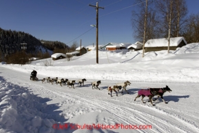 Friday March 9, 2012 Ken Anderson arrives at the Yukon River village of Ruby, Alaska. Iditarod 2012.