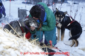 Angie Taggart gives her dogs some love as she prepares to leave the halfway checkpoint of Iditarod on Saturday March 9, 2013.Iditarod Sled Dog Race 2013Photo by Jeff Schultz copyright 2013 DO NOT REPRODUCE WITHOUT PERMISSION