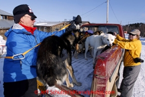 Veterinarian Vern Otte loads dropped dogs into the back of a pickup truck bound for the airport in Shageluk on Saturday March 9, 2013.Iditarod Sled Dog Race 2013Photo by Jeff Schultz copyright 2013 DO NOT REPRODUCE WITHOUT PERMISSION